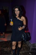 at Kamla Pasand Stardust Post party hosted by Shashikant and Navneet Chaurasiya in Enigma on 13th Feb 2012 (134).JPG